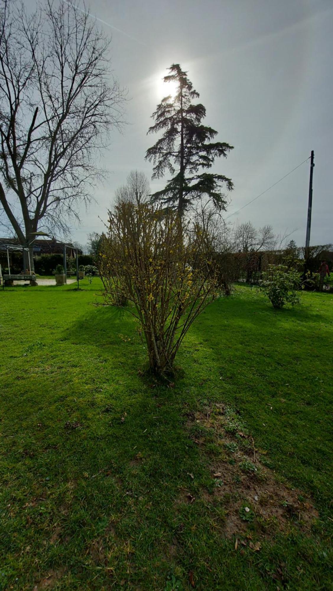 Villa Maella Saint-Michel-Tuboeuf Εξωτερικό φωτογραφία